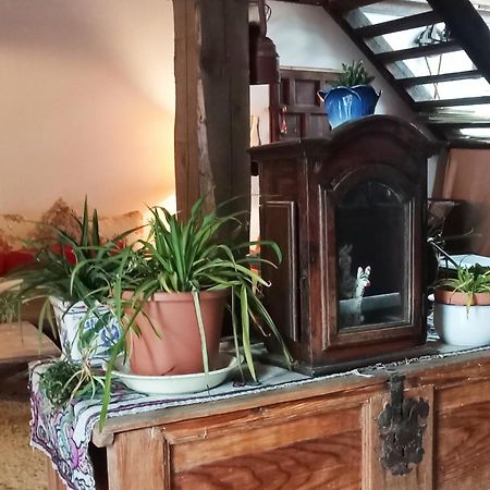 Suite En Cuadra Pajar, Casa Rural Hoz de Jaca Eksteriør billede